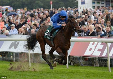 gimcrack tips|Daily Mail Racing.